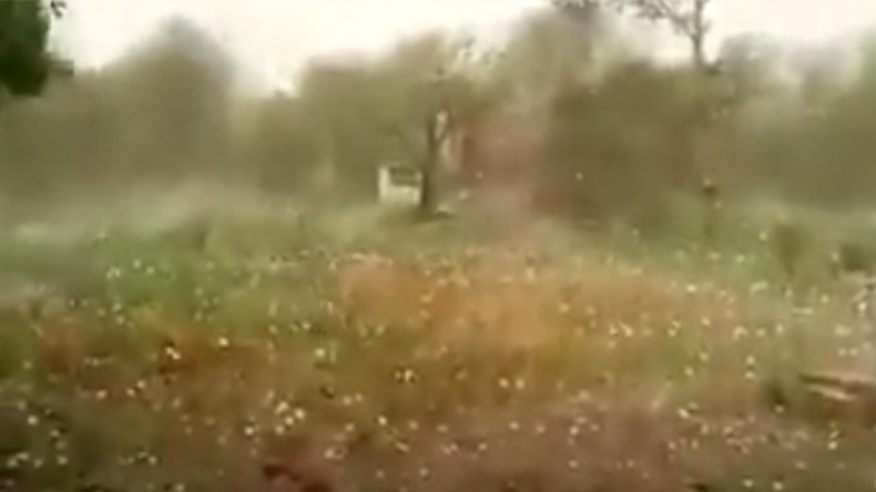 Jumbo-sized hailstones batter buildings in freak storm (VIDEO)