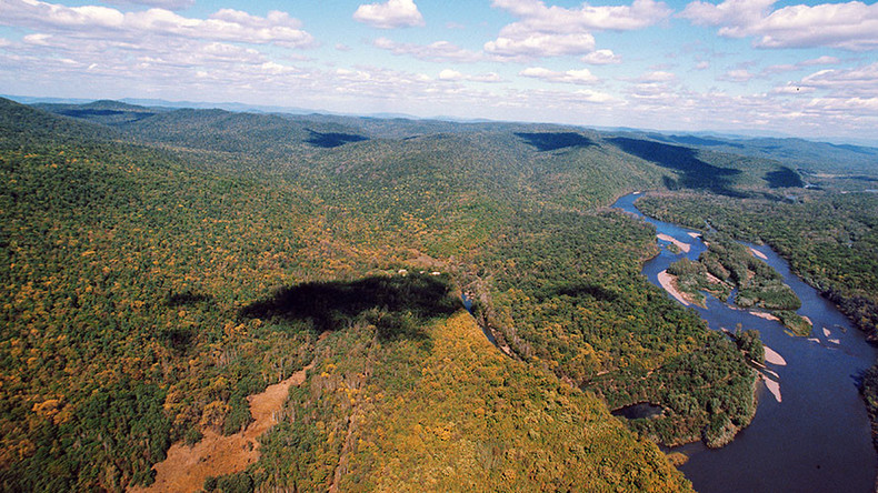 Russia gives away first free land in Far East
