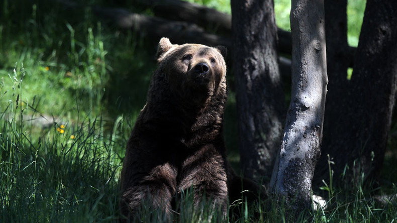 Woman gives birth deep in Siberian forest as police shoo away bears