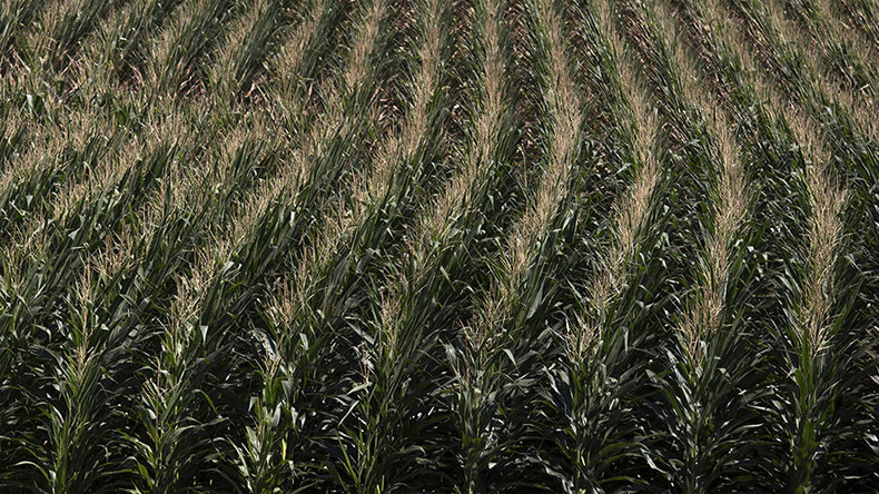 Nobel laureates to Greenpeace: ‘Abandon your campaign against GMOs’