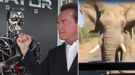 Schwarzenegger wants to sue Big Oil for ‘First Degree Murder’