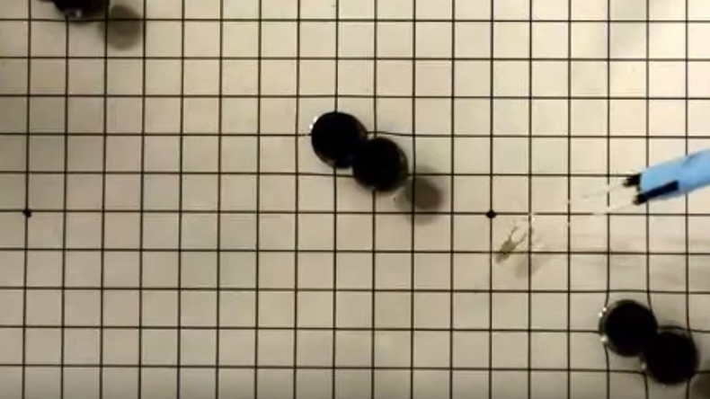 Bio-cyborg made of rat heart and gold swims obstacle course (VIDEO)
