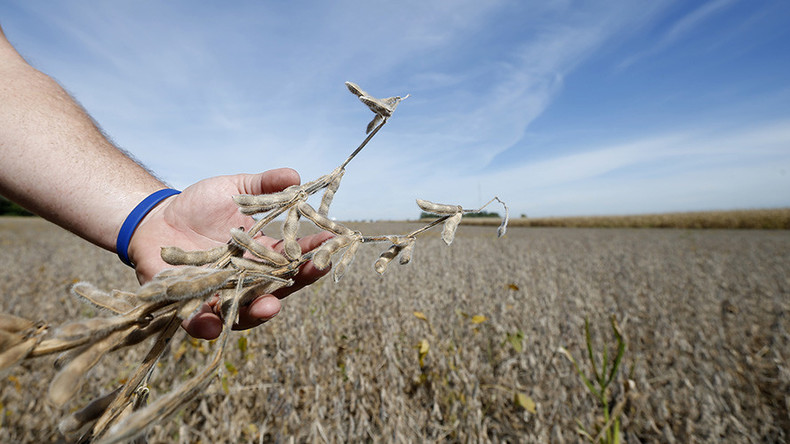 EU approves imports of genetically modified Monsanto soybeans