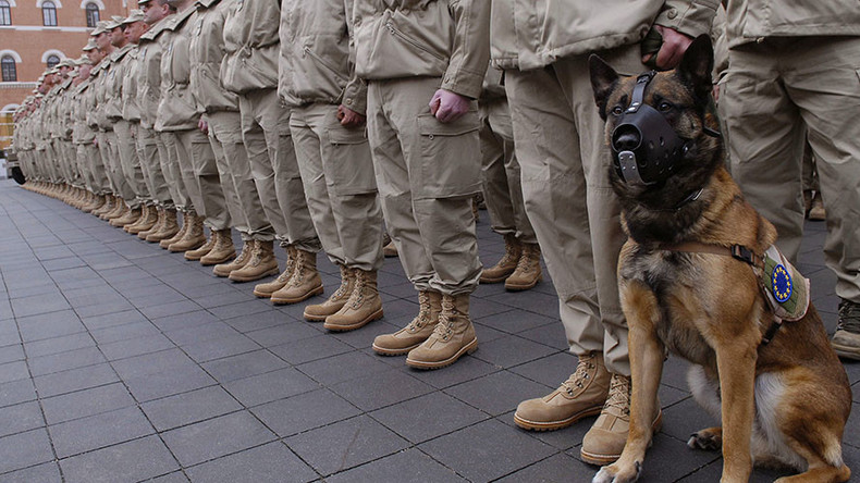 Soldiers Replace Police As Embassy Guards In Vienna To Help Tackle 