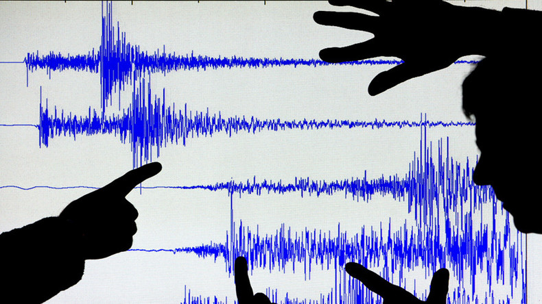 Shelling? Rare earthquake shakes E. Ukraine, felt as far as Russian border