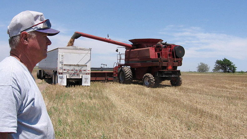 Farmers suing Syngenta over GMO corn granted class action status in federal court