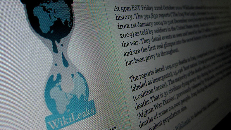 ‘We did US gov’t a favor by exposing their security flaws’ – hacker on FBI, DHS employees’ info leak