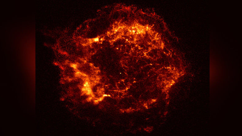 Aliens could survive on a diet of radiation, study finds