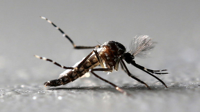 Zika causes testicles to shrink & infertility in mice, alarming sign for humans – study