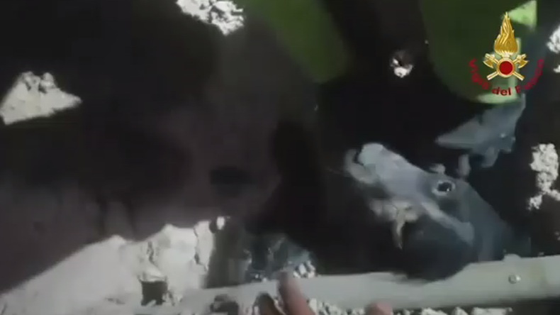Dog pulled from rubble after earthquake devastation in Italy (VIDEO)