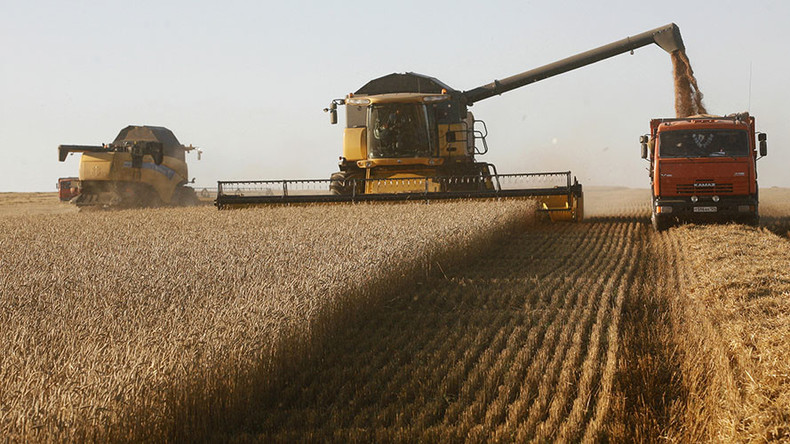 Bumper crop: Russia sees 40yr-high harvest