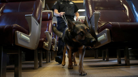 Metropolitan Transit Authority (MTA) Police Officer Kevin Pimpinelli works with his K-9 partner Johnny, a German Shepherd, at the new MTA Police Department Canine Training Center in Stormville, New York, U.S., © Mike Segar 