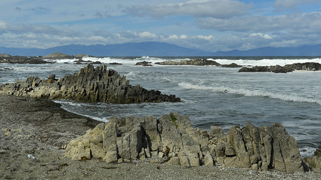 © Ekaterina Chesnokova