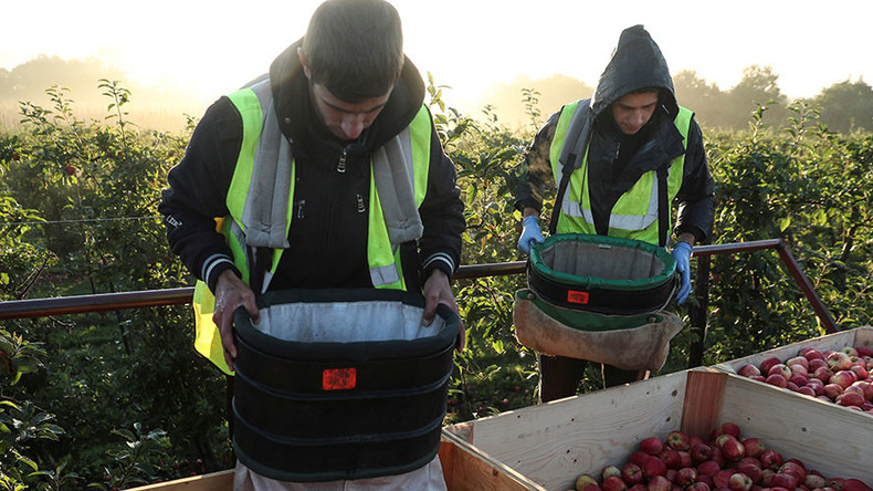 Post-Brexit plunge in immigration won’t push up wages – report