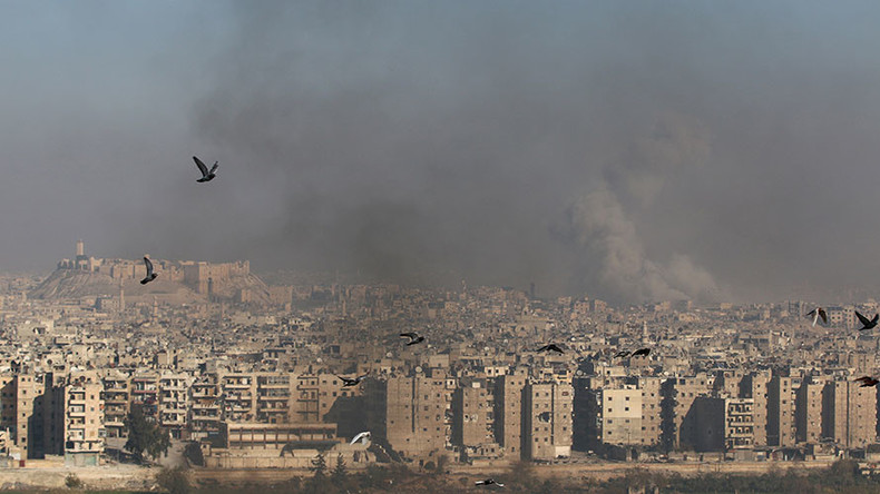 Top senator rules out Russian forces taking part in ground operation in Syria