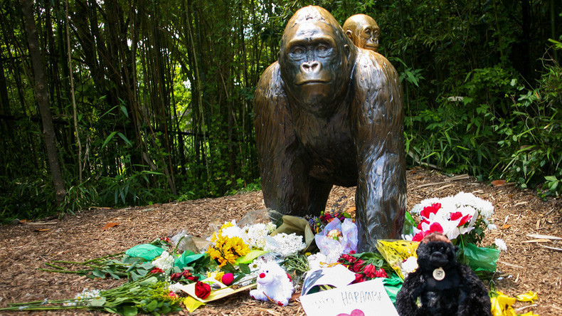 Harambe’s grandmother dies, conspiracy theories begin & Russia blamed