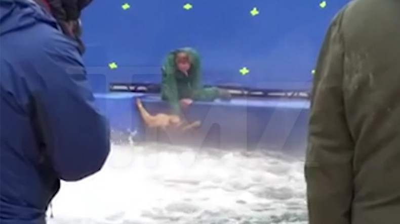 A Dog’s Purpose? Petrified pup flung into pool during film production (VIDEO)
