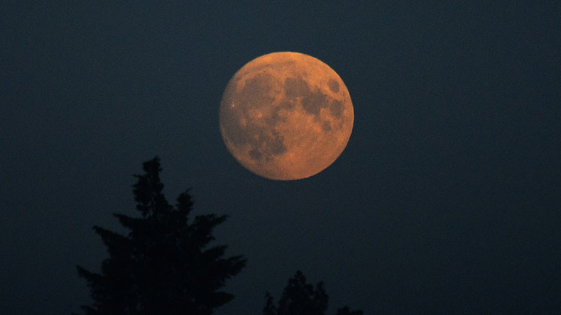 Race me to the Moon: Google Lunar X finalists face landing test to win prestigious prize