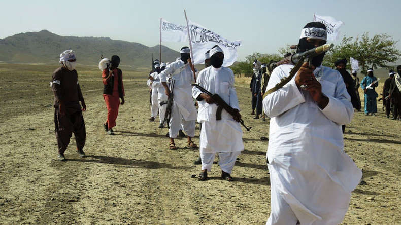 ‘US taxpayers paid $100 bln attempting to turn Afghanistan into Holland’