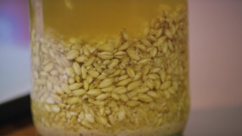  Barley recognizable: Resurrected 5,000yo Chinese beer resembles oatmeal