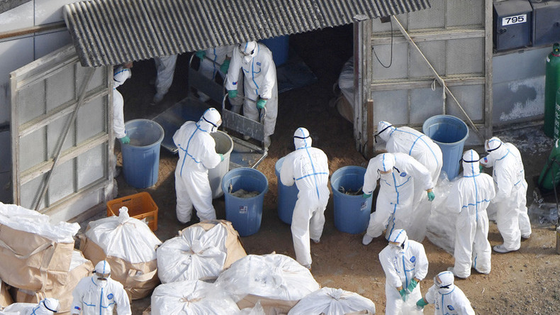 ‘Largest pandemic in 100 years’ threatens China as bird flu spreads