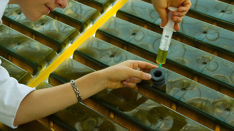  Russian liquid breathing experiment draws animal cruelty criticism (DISTURBING VIDEO)