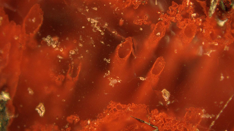 Oldest-ever fossils show life existed on Earth at its infancy - study