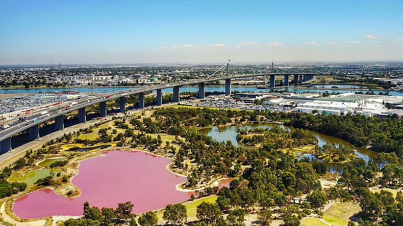 A salt on the senses: Vibrant pink lake sends Melbourne shutterbugs into frenzy (PHOTOS) — RT Viral