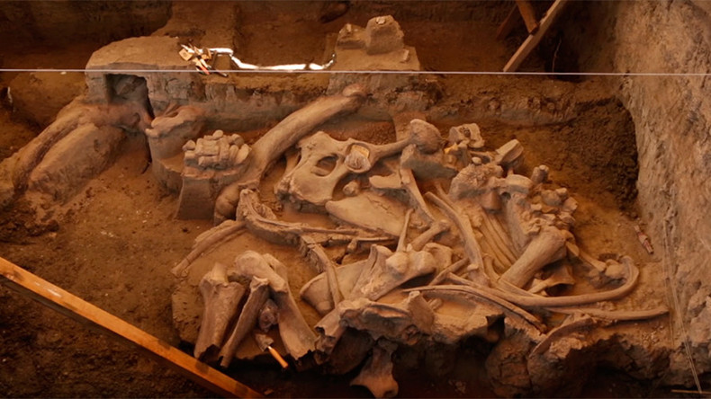 Excavation of 14,000-yo mammoth reveals new information on ancient humans (VIDEO, PHOTOS)