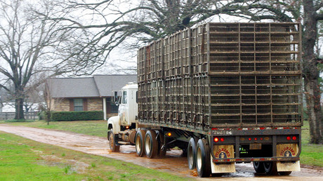‘Vegan Terror’: French meat restaurant smashed-up in night attack (PHOTOS)