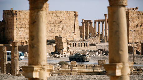 EU & Russian lawmakers may be able to visit liberated Aleppo, Palmyra – Russian MP