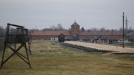 Bizarre Auschwitz death camp protest sees naked protesters slaughter sheep & chain themselves up