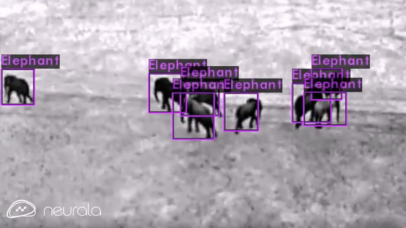 Charles Lindbergh Foundation’s AI drones fighting animal poachers (VIDEO)