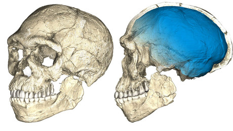 ‘Oldest ever' 300,000yo human fossils unearthed in Morocco