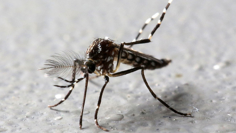 Google’s life science division to release 20mn infected mosquitoes in California