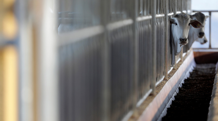 Utah’s ‘ag-gag’ law unconstitutional & violates free speech – Federal judge rules