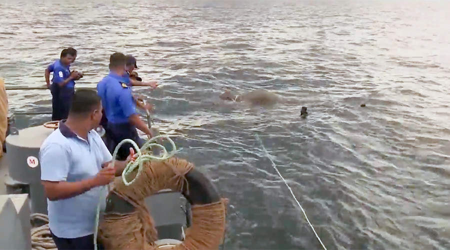 Dramatic sea rescue saves ‘Jumbo’ the elephant drowning off Sri Lankan coast (VIDEO)