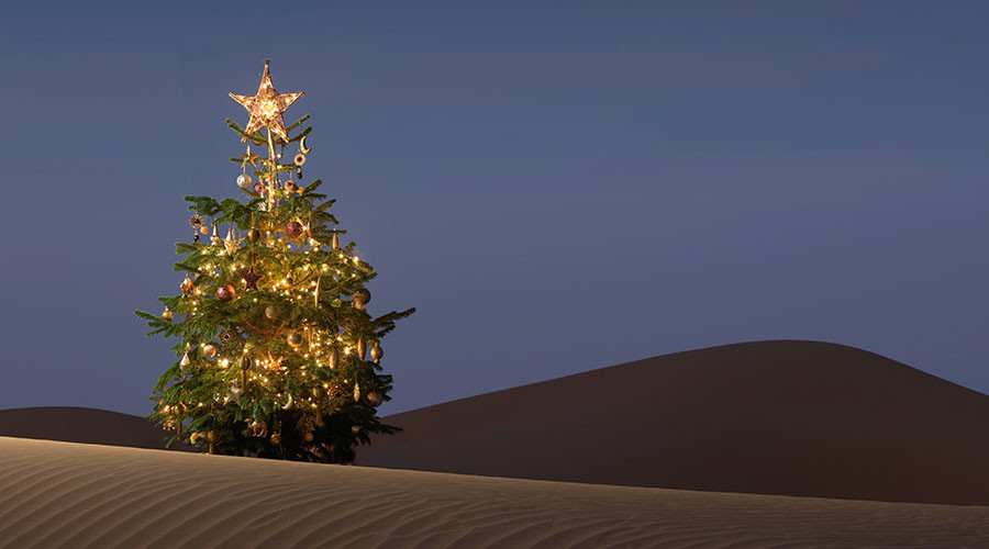 RAF smuggled Christmas trees into Saudi Arabia despite religious ban