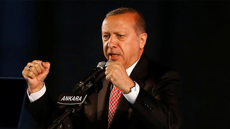 Art piece of ‘Turkish Dictator’ Erdogan with banana in buttocks removed from German fair 