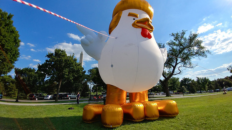 Giant Inflatable Trump Chicken Roosts Behind White House Rt Usa