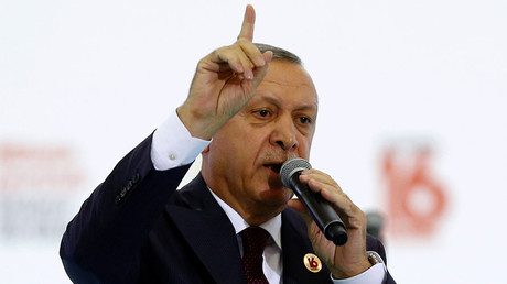 Art piece of ‘Turkish Dictator’ Erdogan with banana in buttocks removed from German fair 