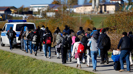 ‘German left-leaning media uncritical of Merkel’s migration policy’ – AfD party official  