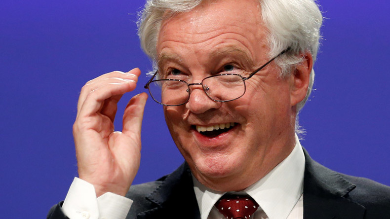 David Davis MP: British blunderer or Brexit mastermind?