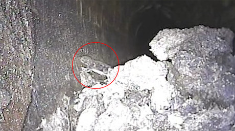 Disgusting moment rat crawls out of 130-tonne ‘fatberg’ lodged in London sewer (VIDEO)