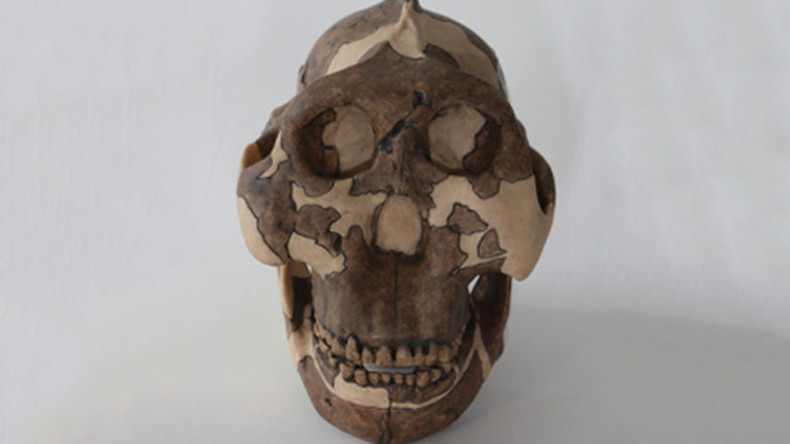 ‘Now we know who to blame’: Scientists say they’ve identified early human who gave us herpes