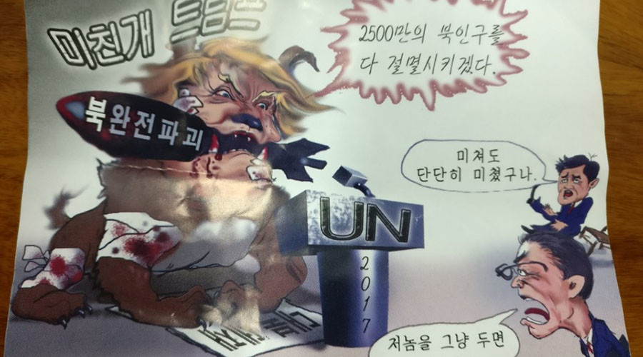 ‘Mad dog’ Trump flyers ‘blown in’ from N. Korea found in Seoul (PHOTOS)