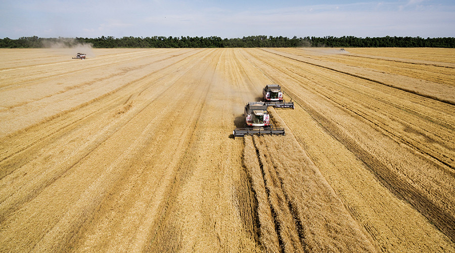 Russian Farmers Feeding Half The World Thanks To Biggest Grain Harvest Ever — Rt Business News