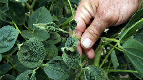 Monsanto’s monster-herbicide blamed for killing millions of crop acres