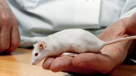 New hope for human patients as scientists reverse type 1 diabetes in mice