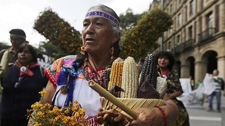 A farmer holds corn cobs near other farmers and activists protesting against Monsanto  in downtown Mexico City © Henry Romero